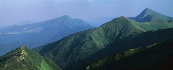 Фотовиставка Тараса Цибуха